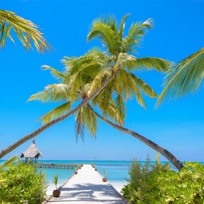 大发dafa888下载手机版